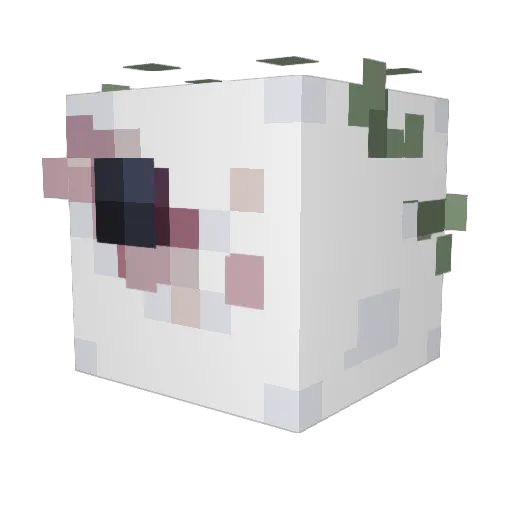 AerisRG Minecraft avatar head, 3D render