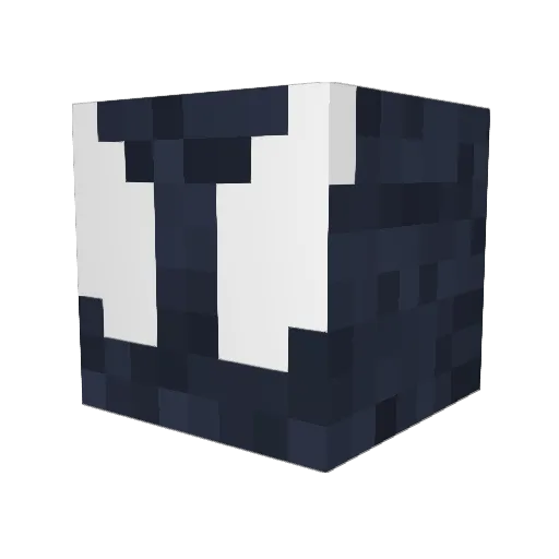 Aerky Minecraft avatar head, 3D render