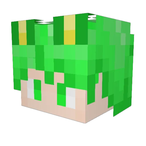 Aerl_ Minecraft avatar head, 3D render