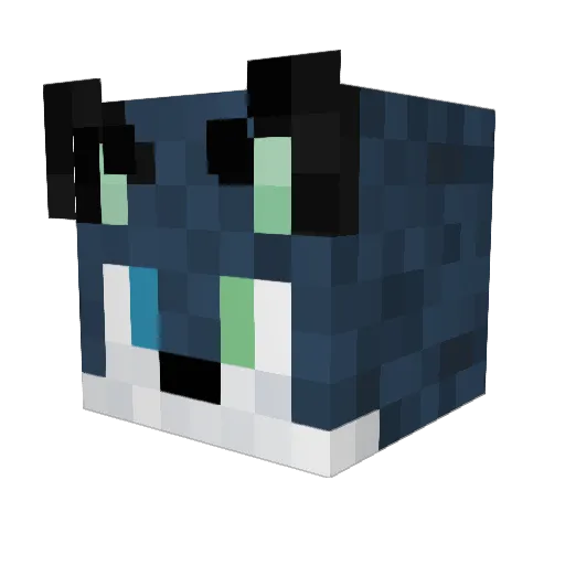 Aero_Beans Minecraft avatar head, 3D render