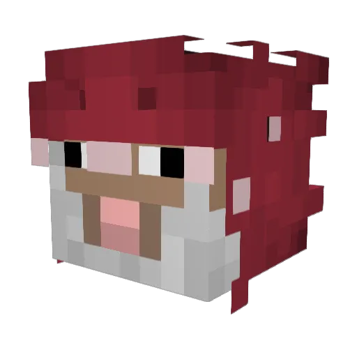 Aeroflame124 Minecraft avatar head, 3D render