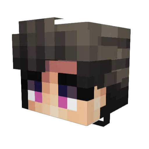 Aerogand Minecraft avatar head, 3D render