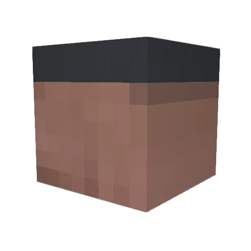 Aerogh Minecraft avatar head, 3D render