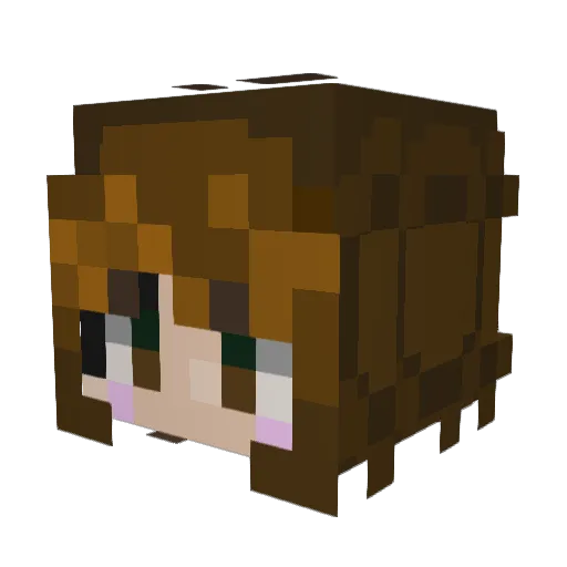 Aerolia5 Minecraft avatar head, 3D render