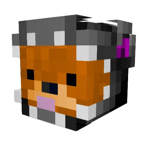Aeronet234 Minecraft avatar head, 3D render