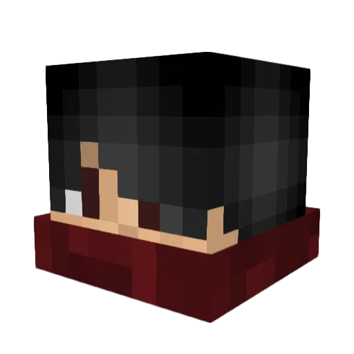 Aeronin Minecraft avatar head, 3D render