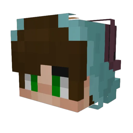 Aerother Minecraft avatar head, 3D render