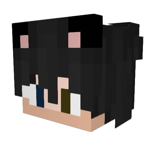Aerveau Minecraft avatar head, 3D render