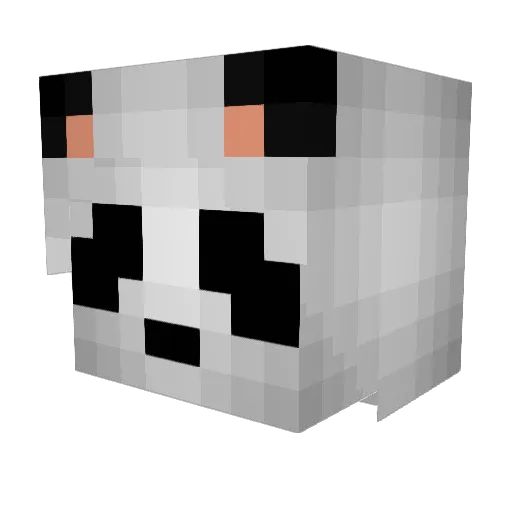 Aerybdis Minecraft avatar head, 3D render