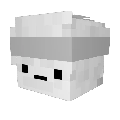 Aeryhz Minecraft avatar head, 3D render
