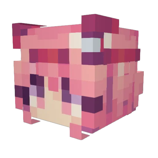 Aeryxa Minecraft avatar head, 3D render