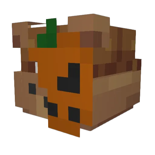 Aerzioa Minecraft avatar head, 3D render