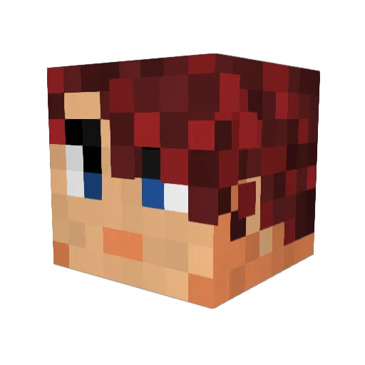 Aesais Minecraft avatar head, 3D render