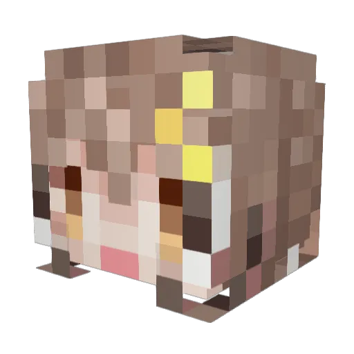 Aesculus Minecraft avatar head, 3D render
