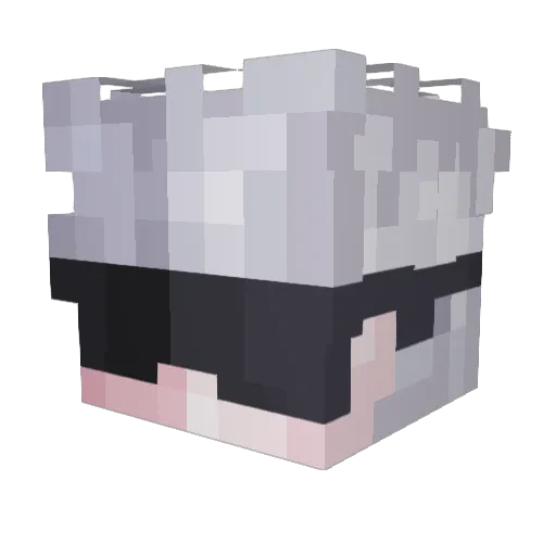 Aeshnaa Minecraft avatar head, 3D render