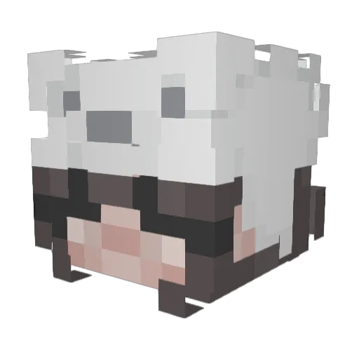 Aeshrrr Minecraft avatar head, 3D render