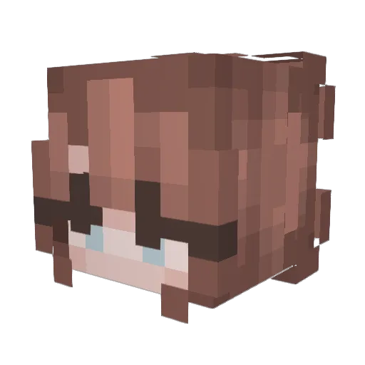 Aesop725 Minecraft avatar head, 3D render