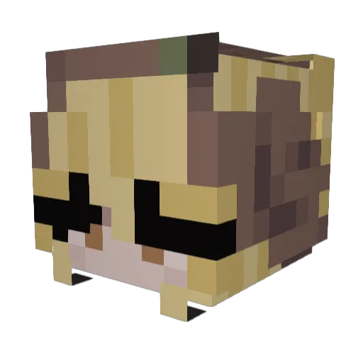 Aespryx Minecraft avatar head, 3D render