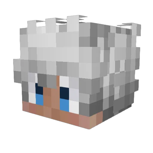Aestecial Minecraft avatar head, 3D render