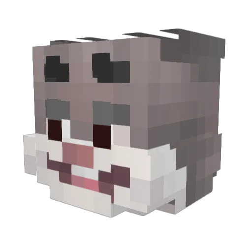 Aesthel Minecraft avatar head, 3D render
