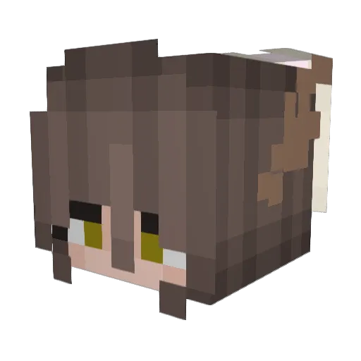 AestheticAlien00 Minecraft avatar head, 3D render
