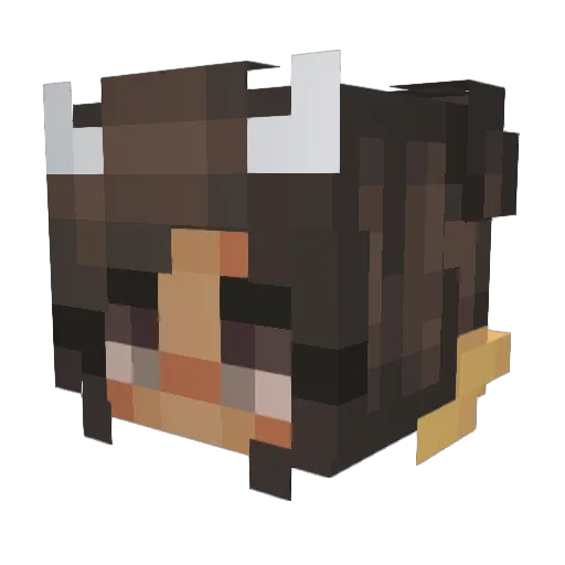 AestheticSponge Minecraft avatar head, 3D render