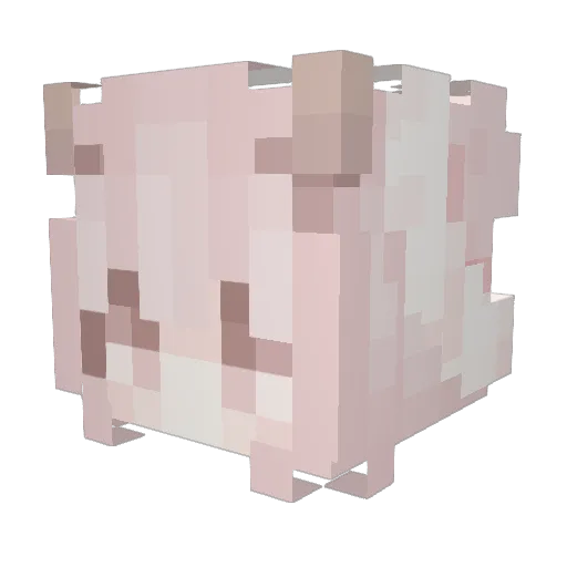 Aesthetic_Egg Minecraft avatar head, 3D render