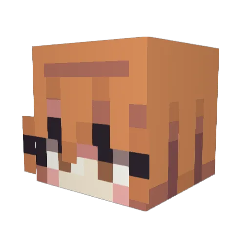 Aesthetic_Kat_ Minecraft avatar head, 3D render