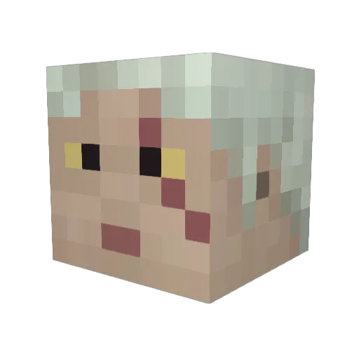 AeternaVita Minecraft avatar head, 3D render
