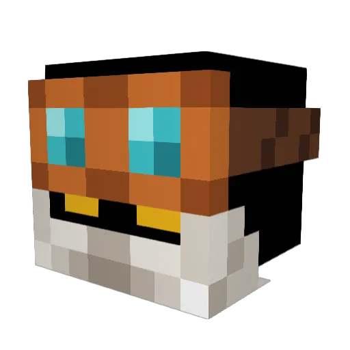Aeternum_Aspect Minecraft avatar head, 3D render