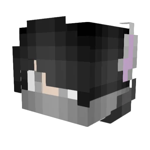 AetherealWolf Minecraft avatar head, 3D render