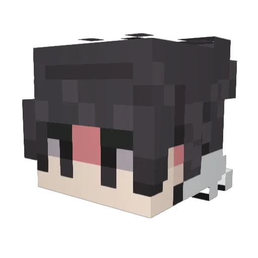 AetherialNinja Minecraft avatar head, 3D render