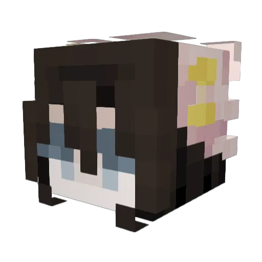 Aetherial___ Minecraft avatar head, 3D render
