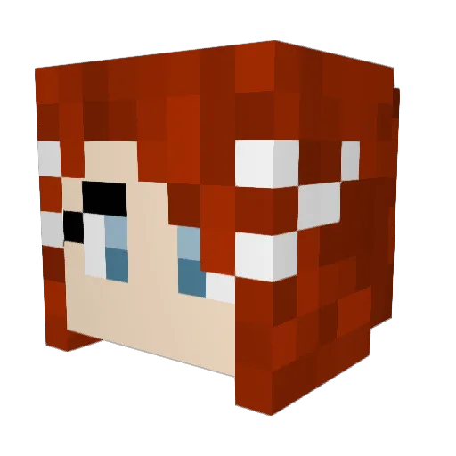 Aetherius4001 Minecraft avatar head, 3D render
