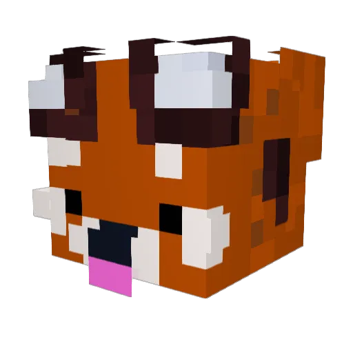 Aetherron Minecraft avatar head, 3D render