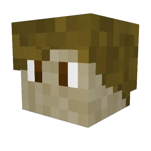 Aethetecro Minecraft avatar head, 3D render