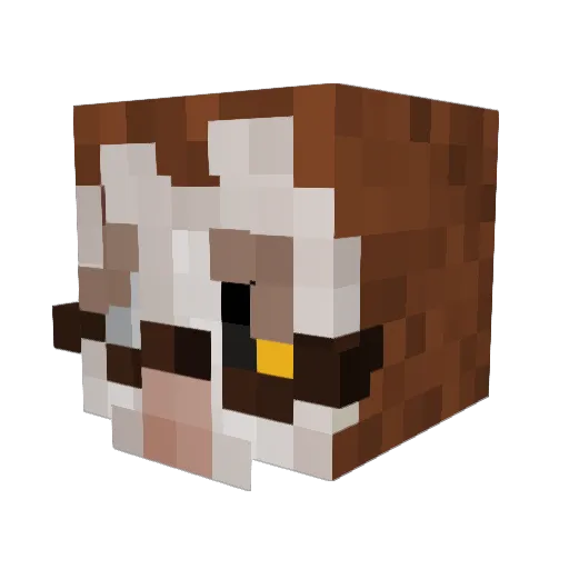 Aeticus Minecraft avatar head, 3D render