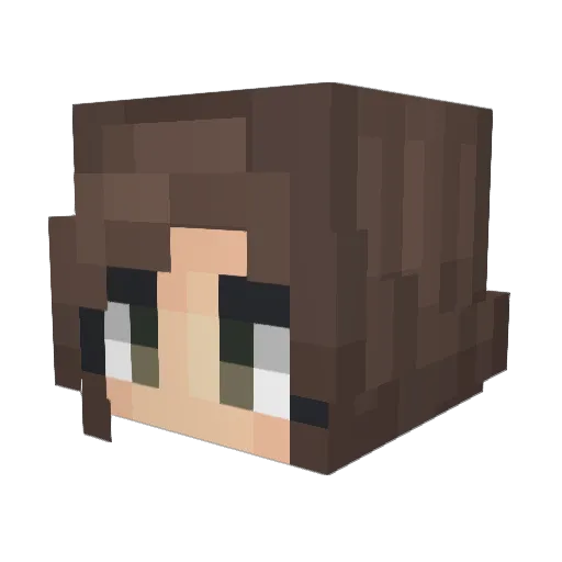 Aetina Minecraft avatar head, 3D render