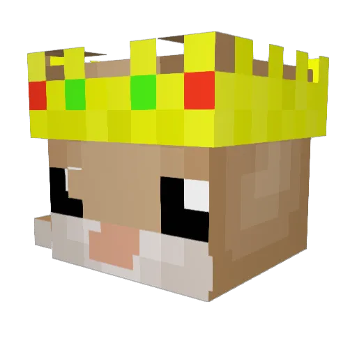 Aetym Minecraft avatar head, 3D render