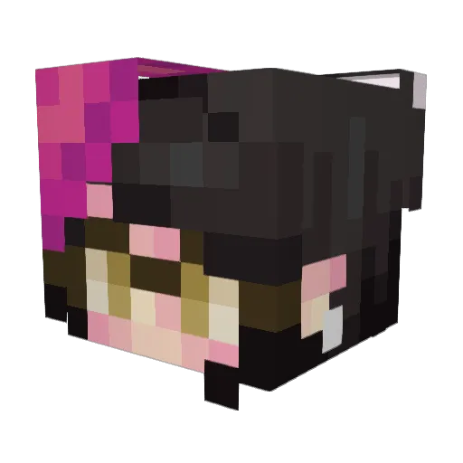 Aevery Minecraft avatar head, 3D render