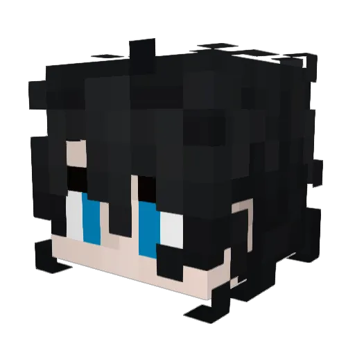 Aevii0_0 Minecraft avatar head, 3D render