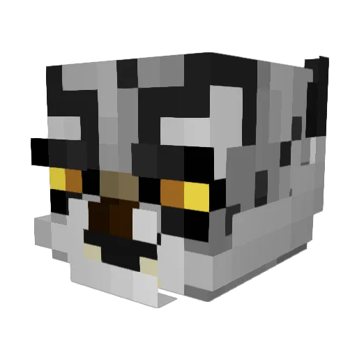 Aeyrro Minecraft avatar head, 3D render