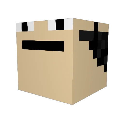 AfFe0906 Minecraft avatar head, 3D render