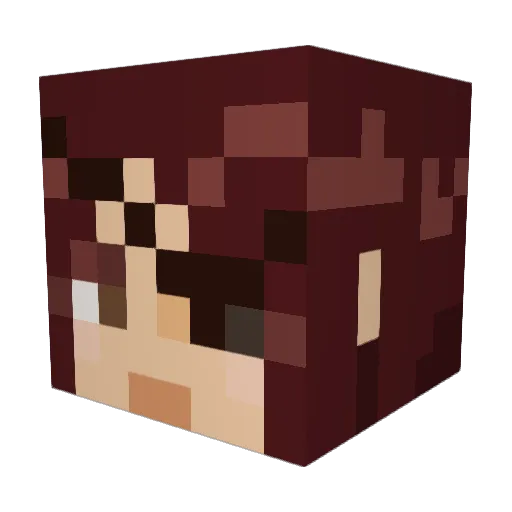 Afad19 Minecraft avatar head, 3D render