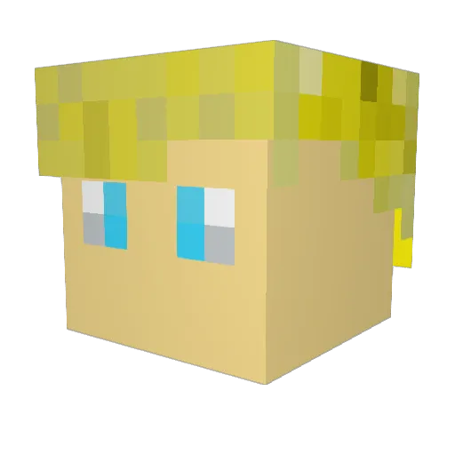 Afex27 Minecraft avatar head, 3D render