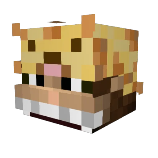 AffeAufGiraffe Minecraft avatar head, 3D render