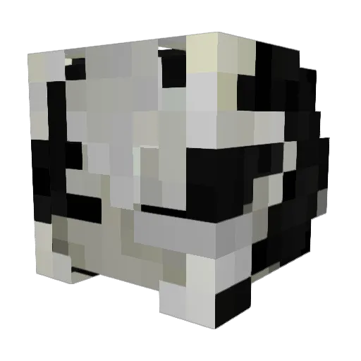 AffectedSun Minecraft avatar head, 3D render