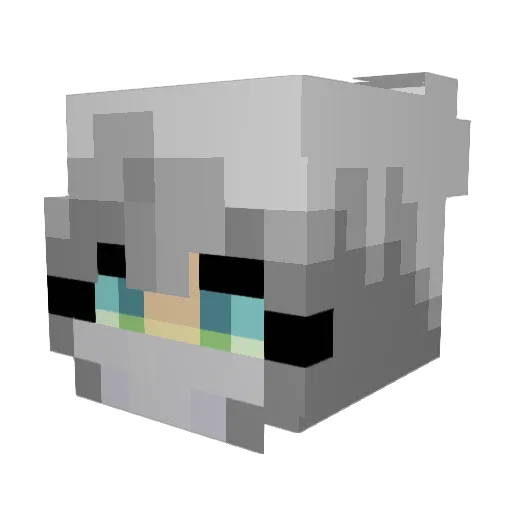 AffectionNotion Minecraft avatar head, 3D render