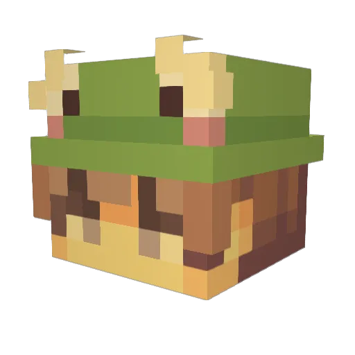 Affegamer10 Minecraft avatar head, 3D render