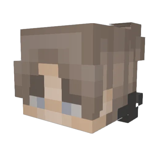 Affirmatives Minecraft avatar head, 3D render